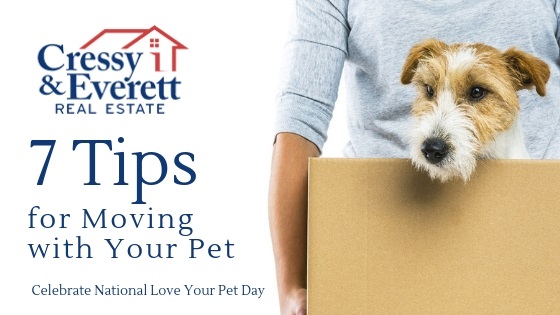 Tips for Moving with Your Pet